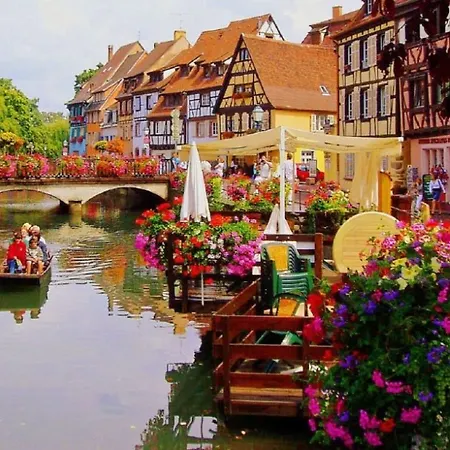 Apartament Hyper Centre 10 Pers