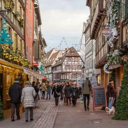 Hyper Centre 10 Pers * Colmar