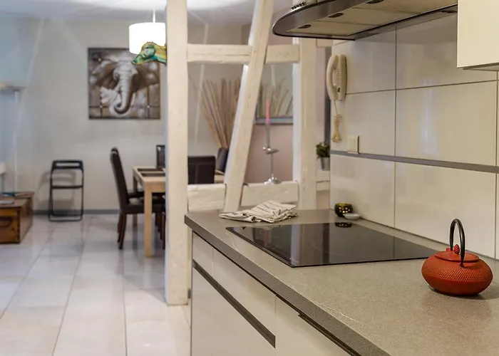 Apartament Hyper Centre 10 Pers *