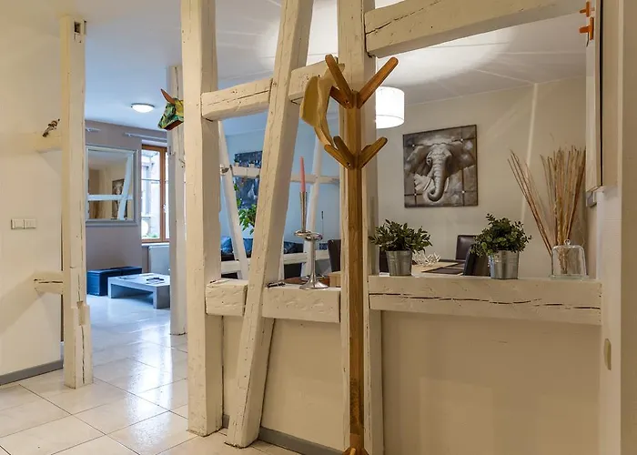 Hyper Centre 10 Pers * Colmar