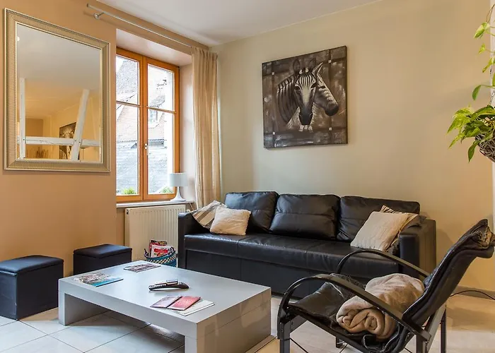 Apartament Hyper Centre 10 Pers *